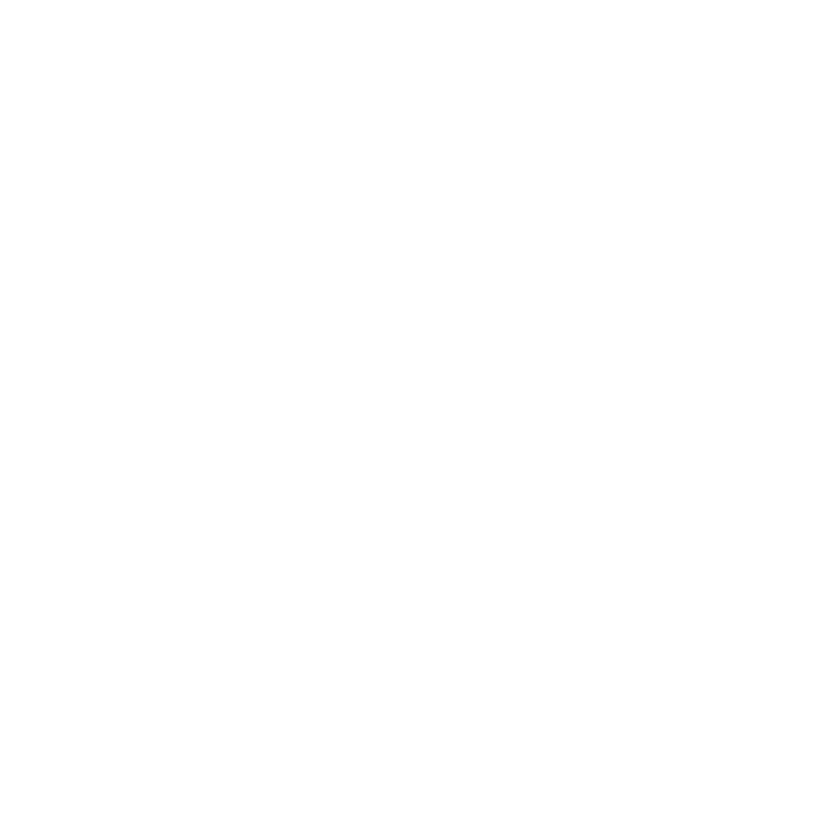 Clean Spot Check logo