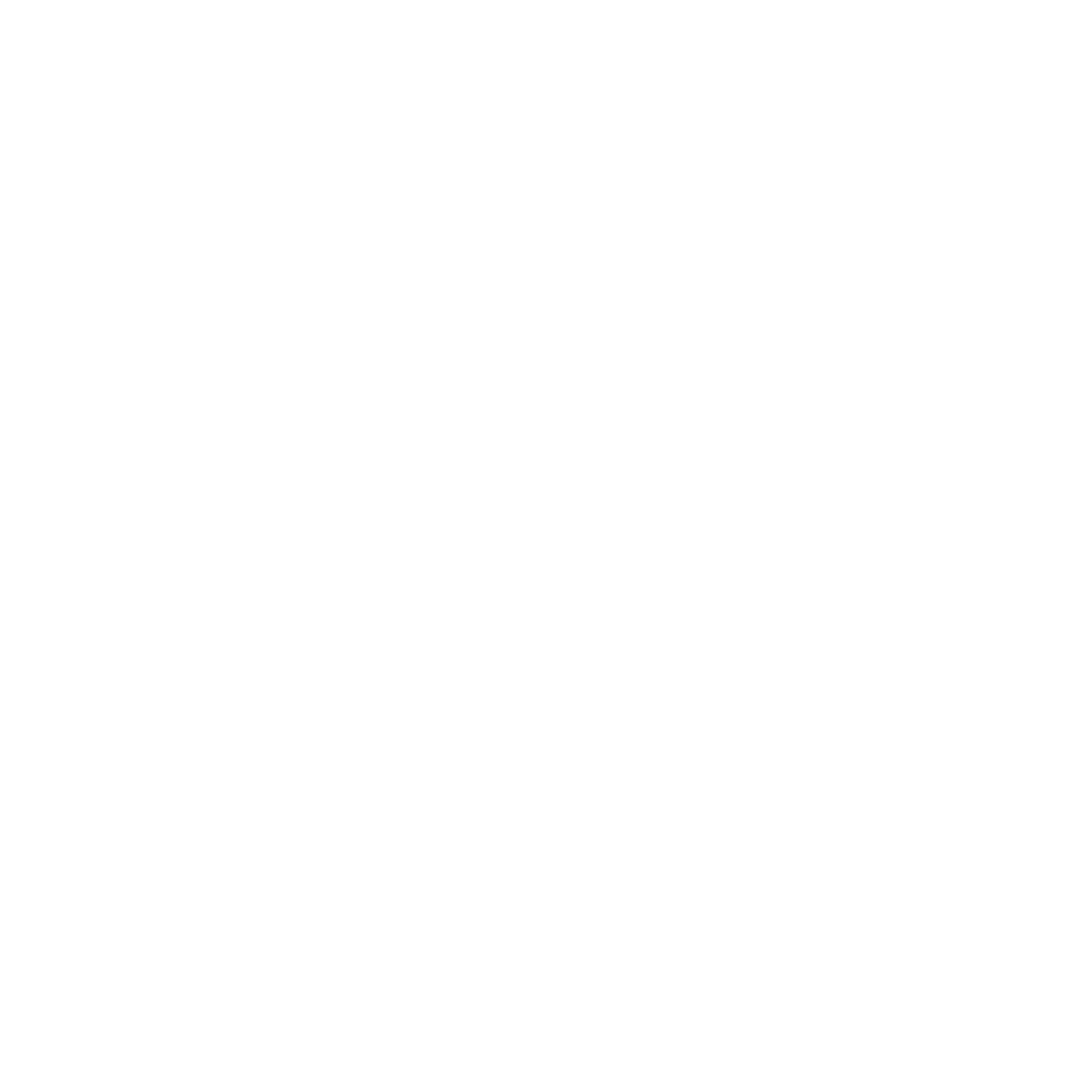 Security Spot Check logo